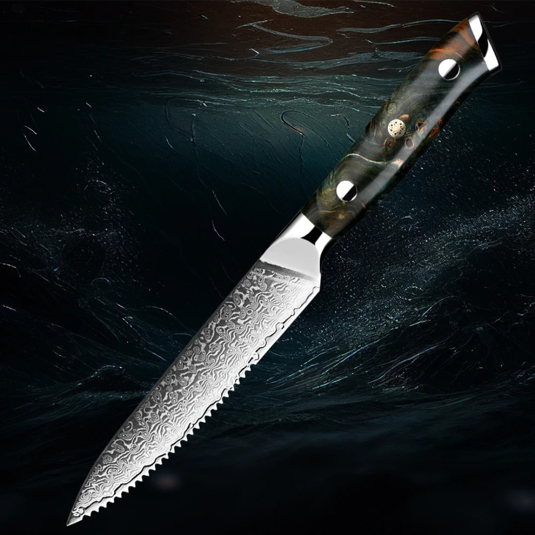 "Ishin" Collection - Premium 5' Steak Knife