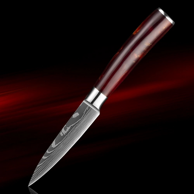 "Arashi" Collection - Premium Stainless Steel Chef Knives