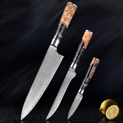 "Hoshinori" Collection - Premium Japanese Damascus Steel Knife Set