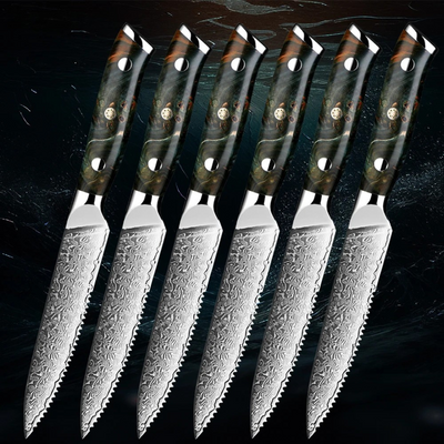 "Ishin" Collection - Premium 5' Steak Knife