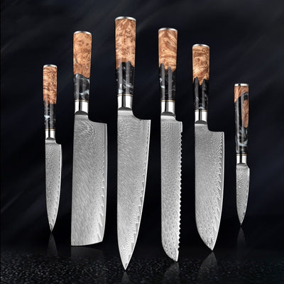 "Hoshinori" Collection - Premium Japanese Damascus Steel Knife Set