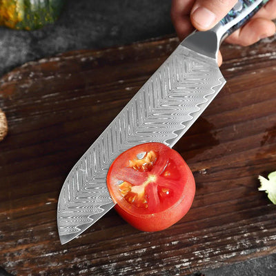 "Okugai" Collection - Premium Japanese Damascus Knives