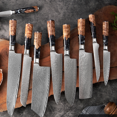 "Hoshinori" Collection - Premium Japanese Damascus Steel Knife Set