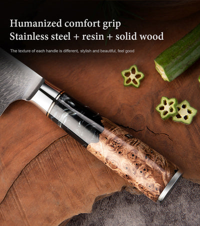 "Hoshinori" Collection - Premium Japanese Damascus Steel Knife Set
