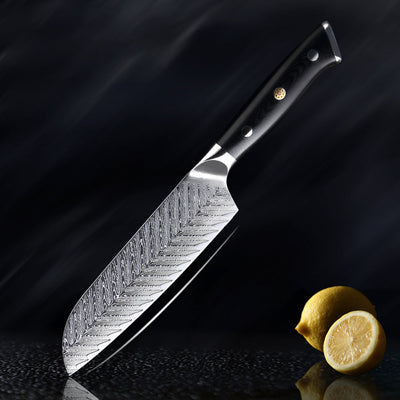 “Daichi” Collection - Premium Japanese Damascus Knives