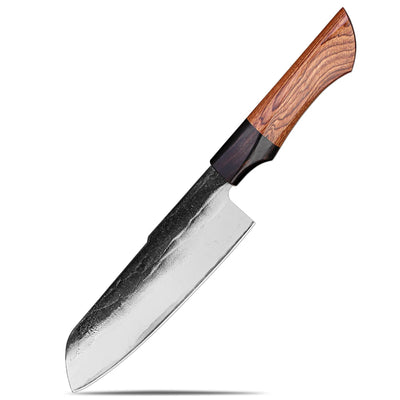 "Takahiro" Collection - Premium High Carbon Steel Chef Knife Set