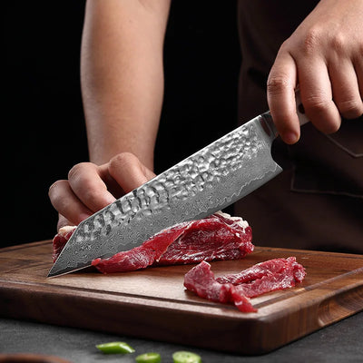 “Byakko” Collection – Premium High Carbon Steel 8' Kiritsuke Knife