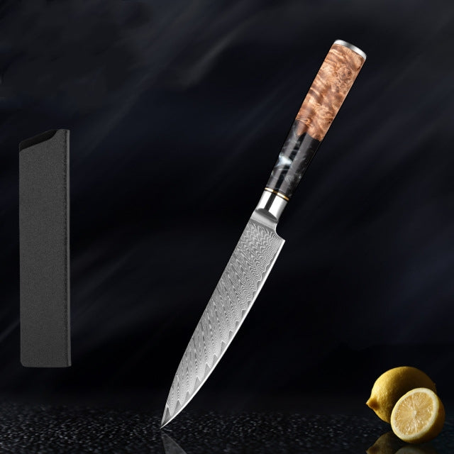 "Hoshinori" Collection - Premium Japanese Damascus Steel Knife Set