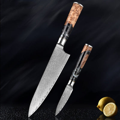 "Hoshinori" Collection - Premium Japanese Damascus Steel Knife Set
